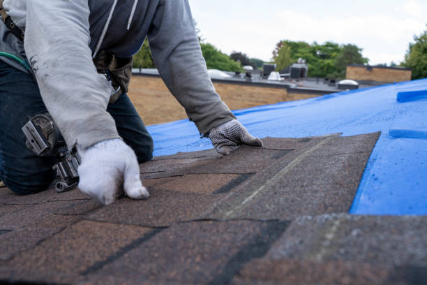 Roof Coating Services in Countryside, IL